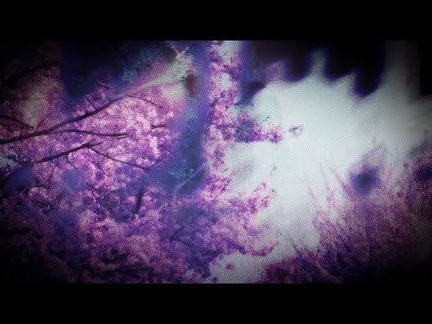 Locust - NIE ODBIERAM (prod. waytoolost x fxlicia)