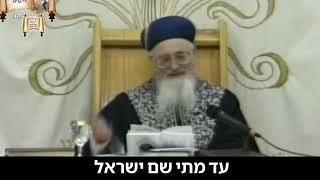 ואמרתם כה לחי רבי שמעון בר יוחאי - מרן הרב מרדכי אליהו זצוק"ל (הרב מרדכי אליהו זצ"ל) - התמונה מוצגת ישירות מתוך אתר האינטרנט יוטיוב. זכויות היוצרים בתמונה שייכות ליוצרה. קישור קרדיט למקור התוכן נמצא בתוך דף הסרטון