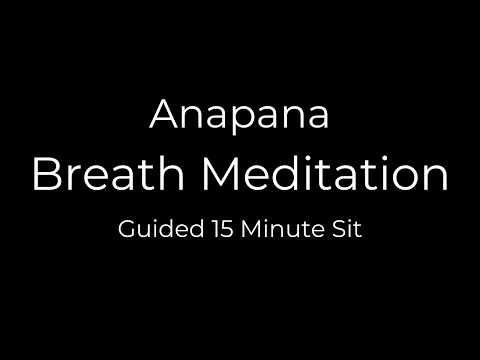 15-Minute Guided Breath Meditation (Anapana)