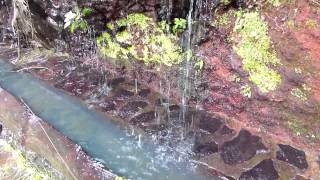 preview picture of video 'Fuente La Huerta, Natur Quelle in Garafía, La Palma, Kanaren'