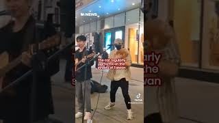 Download lagu Cat In Taiwan Meowing To Join In Singing With Its Owner During Busking Session #shorts #cat #singing mp3