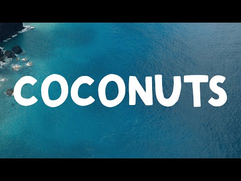 Kim Petras - Coconuts (Lyrics)