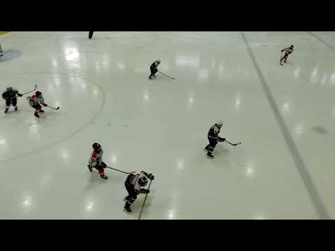 Jää-Ahmat - Panter Tallinna