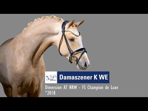 Damaszener K WE 26.03.2023