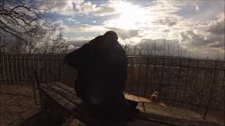preview picture of video 'Down Hill @ Bonn (With GoPro Hero3)'