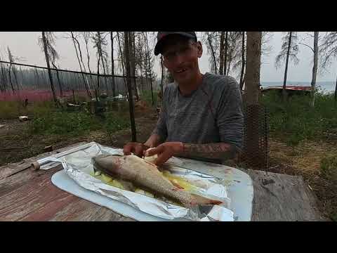 Catch And Cook Trout & onions