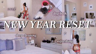 NEW YEAR RESET! | clean with me, washing my new dog, decluttering & more for the new year!!