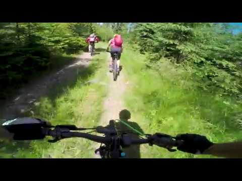 Tura Valea Vadului - S. Muntele Baaisorii - M. Bocului - M.Filii - Moare de Pădure (Patrea I)