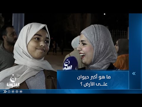 شاهد بالفيديو.. ما هو أكبر حيوان على الأرض ؟