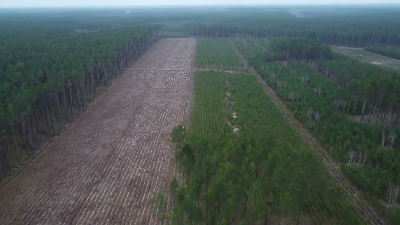 Wycinka lasów okolica Krępska cz.2