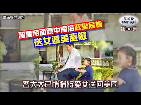 【思打廢-STOP FAKE】第38集 習皇帝面臨中南海政變危機 【思打廢-STOP FAKE】第38集 習皇帝面臨中南海政變危機