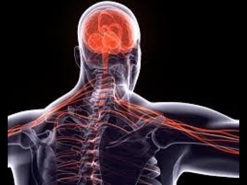 Diagnostica Strumentale nel dolore neuropatico Caterina Leone  2025