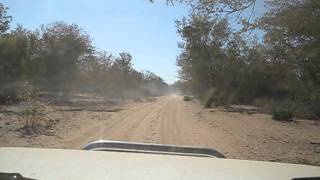 preview picture of video 'Driving in Mozambique after Limpopo crossing'