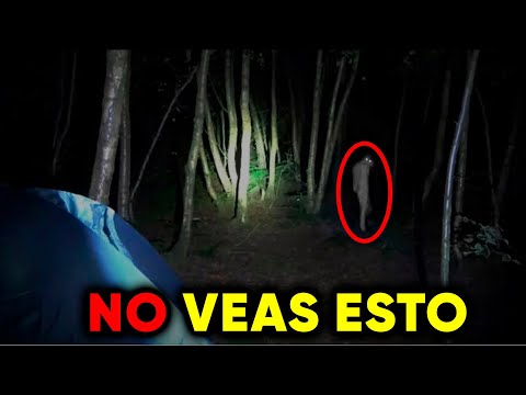37 Encuentros de SENDERISTAS Más ATERRADORES Capturados en el BOSQUE | Compilación de Terror V43