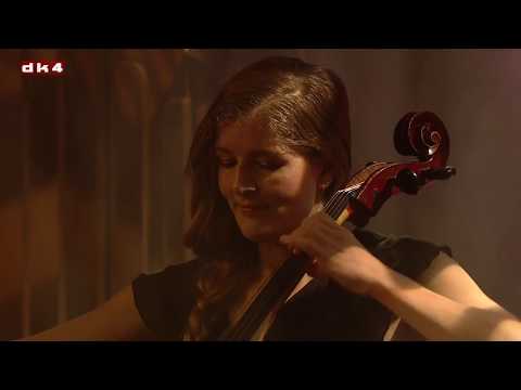 Troels Hammer - Efterår (Live @ DK4 Studio)