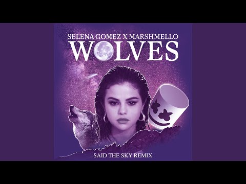 Wolves (Said The Sky Remix)