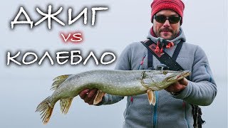 Какой сегодня клев в подмосковье