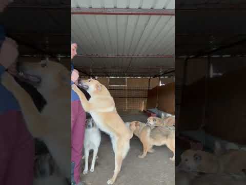 Bosk 1 05/2025 - Hope for Future e.V.