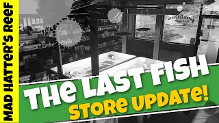 The Last Fish Store Update! (Not so) One Take Sunday