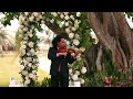 Calum Scott You Are The Reason Alex Bravo Violin Cover