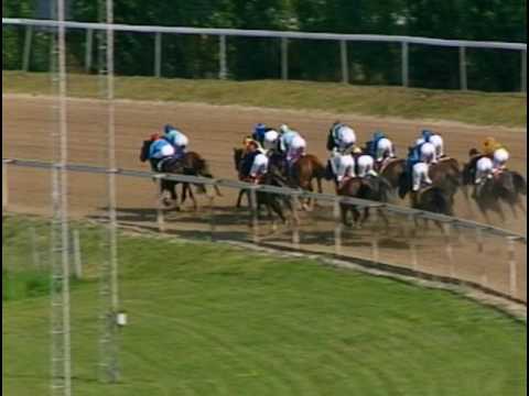 Svenskt Derby 2002