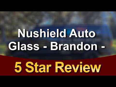 Best Windshield Repair in Brandon,FL - Customer Raves: 'Amazing Experience from Start to Finish'