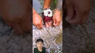 Download lagu NEMPEL DI KAKI APA YA ITUU‼️ mp3 Download lagu NEMPEL DI KAKI APA YA ITUU‼️ mp3