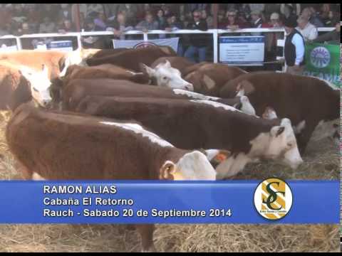 El Retorno de Alias - Nota Ramon Alias - Rauch - 20/09/2014