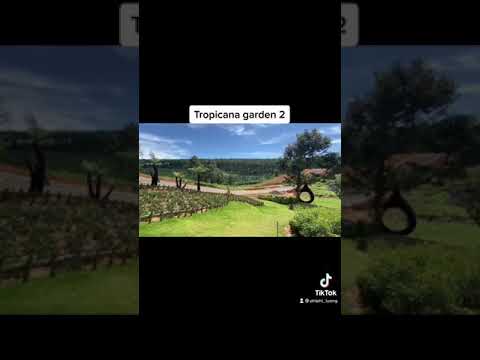 Biệt thự sinh thái tại Lâm Đồng