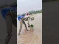 रोबोट क्या कया काम कर सकते है Shortvideo Robot Youtube