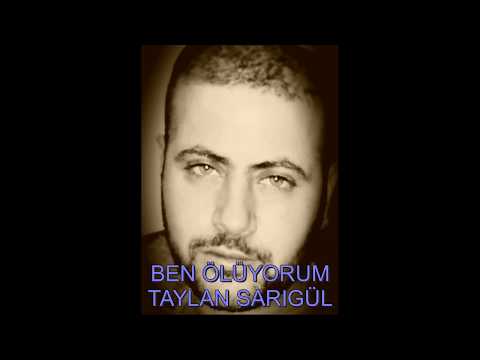 TAYLAN SARIGUL - BEN OLUYORUM  Lyrics OFFICIAL AUDIO (Demo Version)