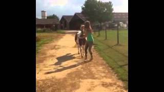 &quot;So Cold (The Good Wife trailer)&quot; Fan Video