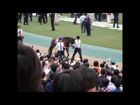 安田記念 パドック　２０１９．６．２