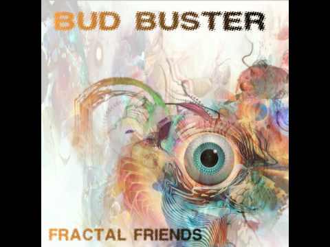 Bud Buster vs Digital System   System Buster 2010