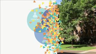 Intellectual Disability Behaviour Support Program