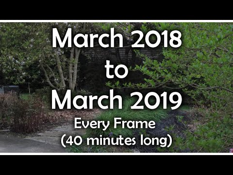Full Length Time Lapse of a Garden Over One Year (March 2018 to 2019 - 40 minutes total)