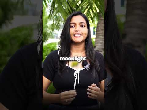 Moonlighting in India: Legal or Not? Why IT Companies Fire Employees? #shorts #freelancing #job