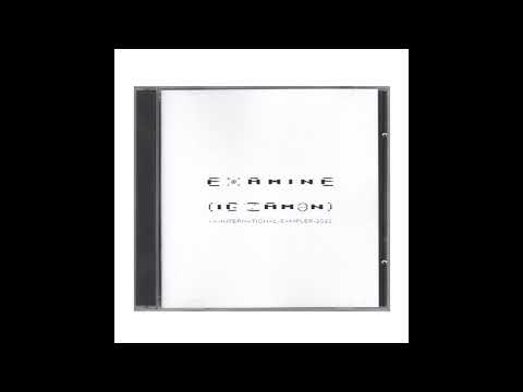 Various - examine-archive international sampler CD 2 - 07 - examine-archive_CD207_SueLèwig_Shadows