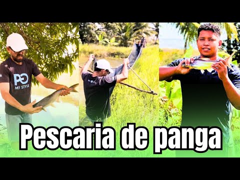 A Melhor Pescaria de Panga Que Já Fiz!🐋