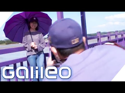 Nur wegen Instagram? Warum ist auf Purple Island alles lila? | Galileo | ProSieben