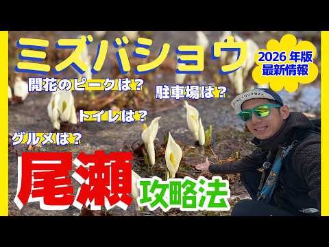 【2026年版】尾瀬ヶ原トレッキング｜シーズン開幕！残雪×新緑の湿原・ミズバショウ・逆さ燧・尾瀬小屋ランチ