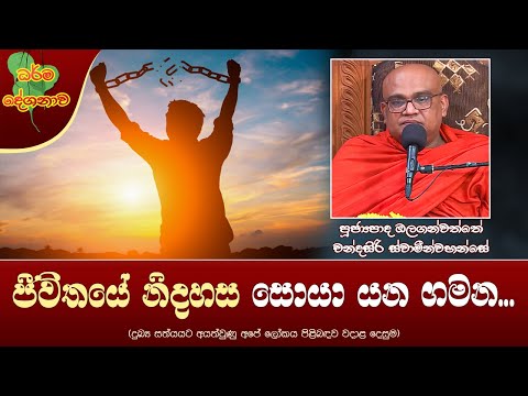 Ven Olaganwatte Chandrasiri Thero | 2023-05-02 | 06.30 PM (ජීවිතයේ නිදහස සොයා යන ගමන...)