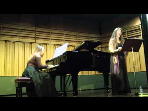 Leonidas Kanaris: 'Walls' (Τείχη)