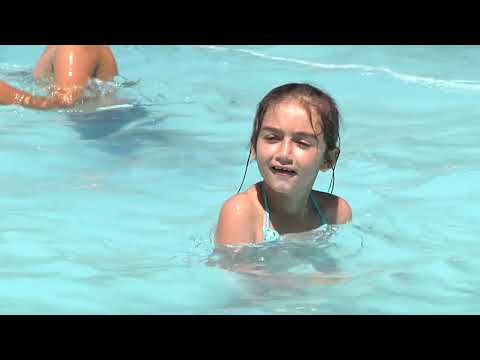 Ouro Fino Boletim da Semana 463 - 31 de Janeiro de 2020