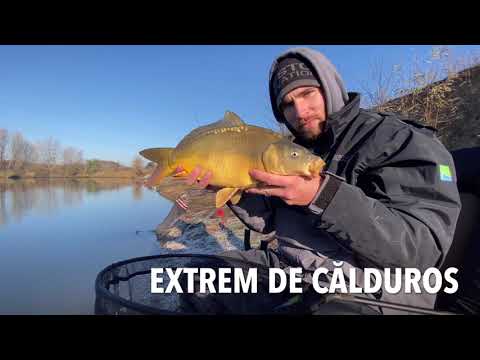 Preston Celcius Suit