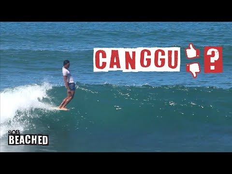What This Local Thinks About Canggu? - Ayok | Beached #18