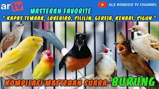 Download lagu Kompilasi masteran favorite : Kapas tembak, Lovebird, Cililin, Gereja, Kenari, Cigun. mp3