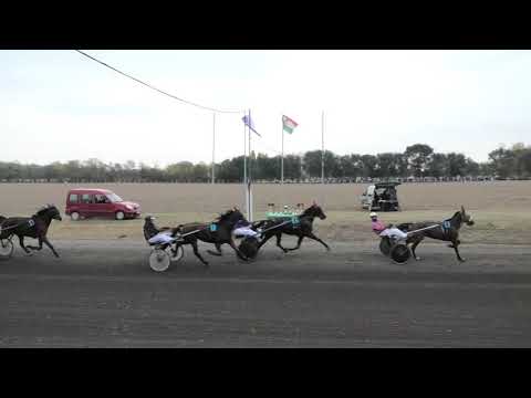 Trka "Demax d.o.o." 21.10.2018 Paladino-Boris Kečenović