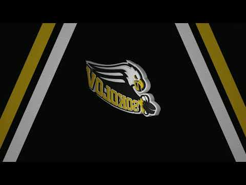 HC Baník Sokolov Goal Horn ( Chance Liga ) 2020/2021