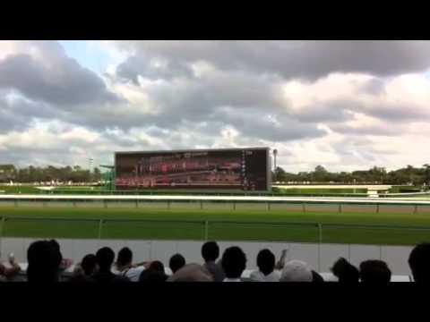 スプリンターズステークス2012